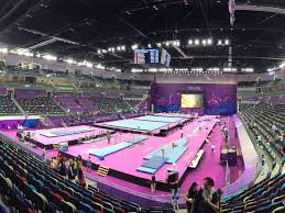 The National Gymnastics Arena 